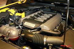 64353_5_1.jpg