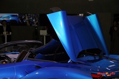 67382_3_1.jpg