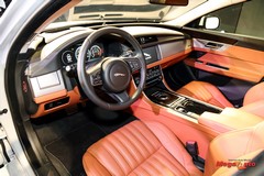 68205_3_1.jpg