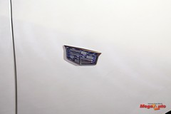 69541_55_1.jpg