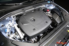 69935_4_1.jpg