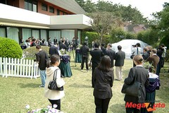 9527_1_1.jpg
