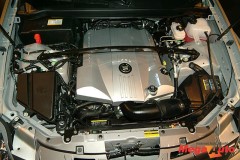 16415_14_1.jpg