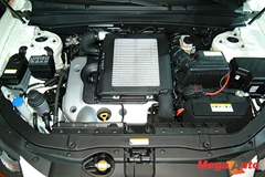 31746_17_1.JPG