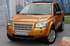 37923_3_1.JPG