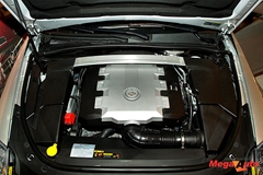 44372_3_1.JPG