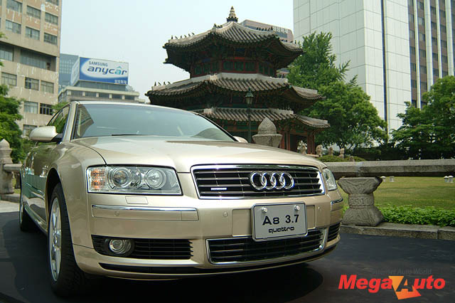 9813_1_1.jpg
