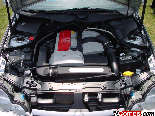 4013_7_l.jpg