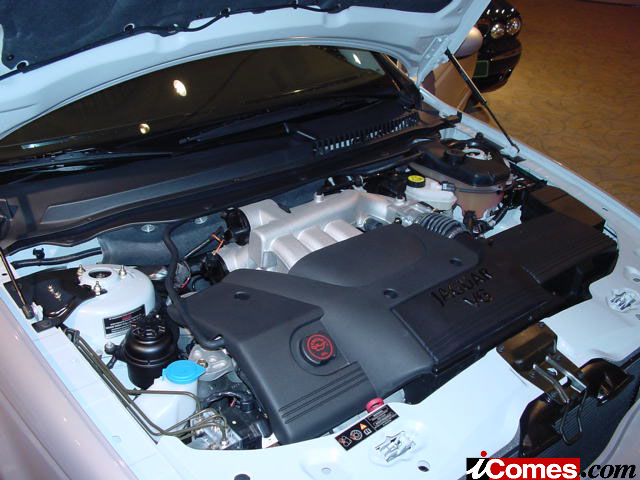 4916_1_l.jpg