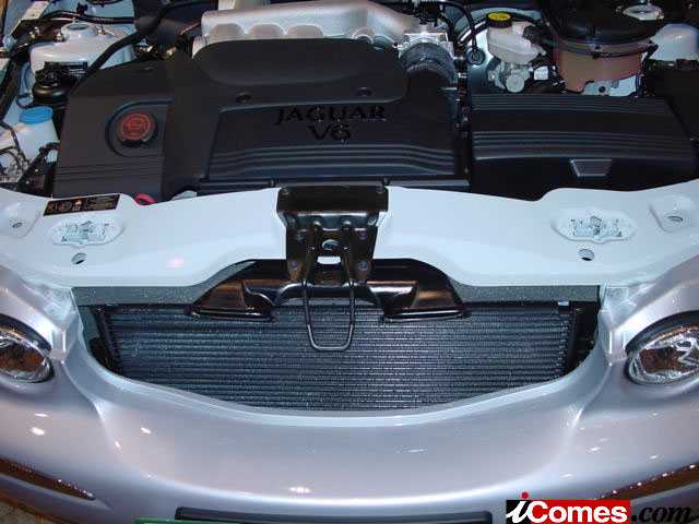 4916_4_l.jpg