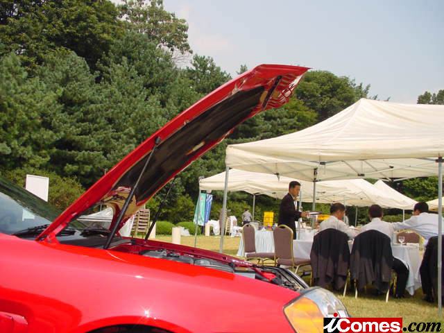 4718_16_l.jpg