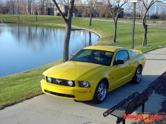 26490_11_1.jpg