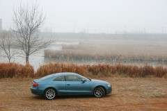 49239_6_1.jpg