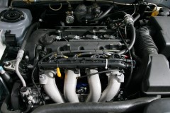 49488_60_1.jpg