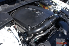 58692_29_1.JPG