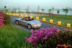 9550_6_1.jpg