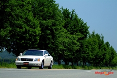 9856_34_1.JPG