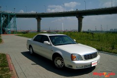 9856_9_1.jpg