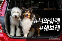 쉐보레, 인스타그램 오픈