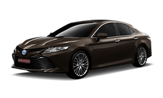 Graphite Metallic