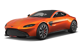 Cosmos Orange