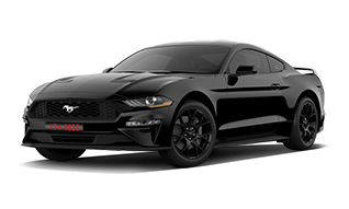 Shadow Black