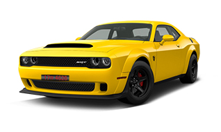 Yellow Jacket
