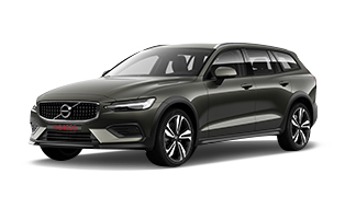 Pine Grey Metallic