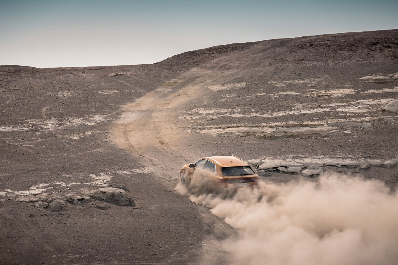 Audi-Q8-2019-1600-6e.jpg