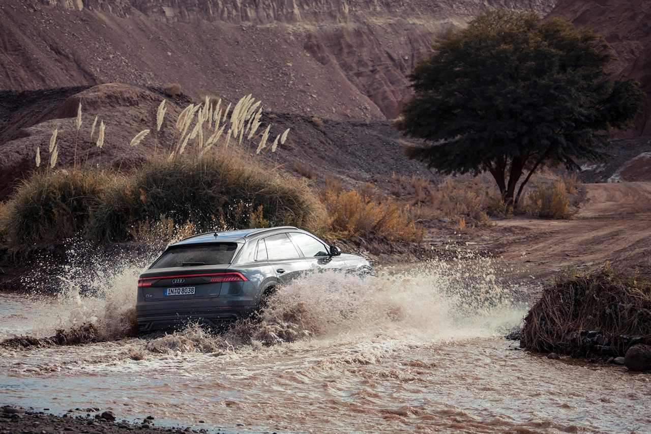 Audi-Q8-2019-1600-74.jpg