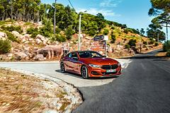 BMW-8-Series_Coupe-2019-1600-50.jpg