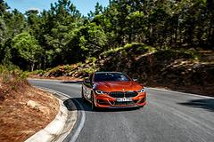 BMW-8-Series_Coupe-2019-1600-51.jpg