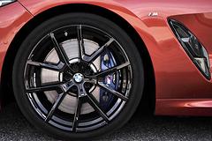 BMW-8-Series_Coupe-2019-1600-d8.jpg