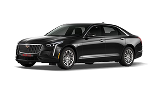 Stellar Black Metallic