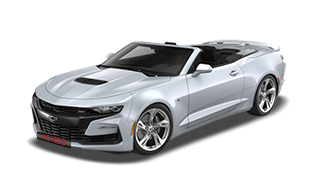 Silver Ice Metallic