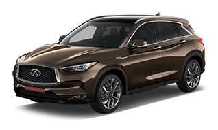 Chestnut Bronze