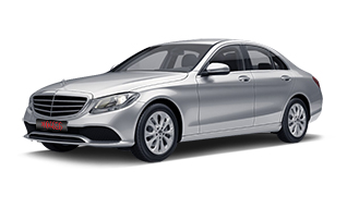 Iridium Silver Metallic