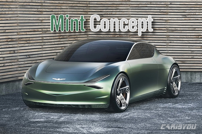 Mint Concept.jpg
