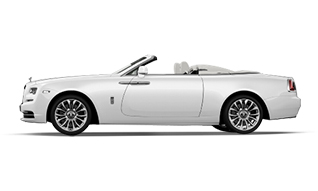 Arctic White