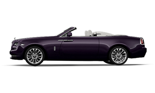 Belladonna Purple