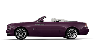 Twilight Purple