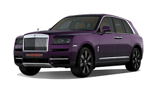 Twilight Purple