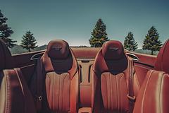 Bentley-Continental_GT_V8_Convertible-2020-1600-46.jpg