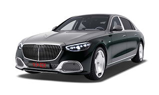 에메랄드 그린 / 모하비 실버