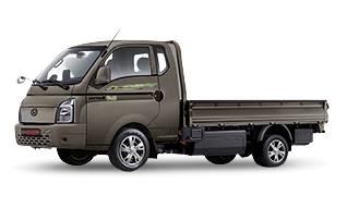 슬레이트 브라운