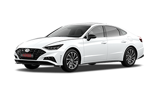 세레니티 화이트